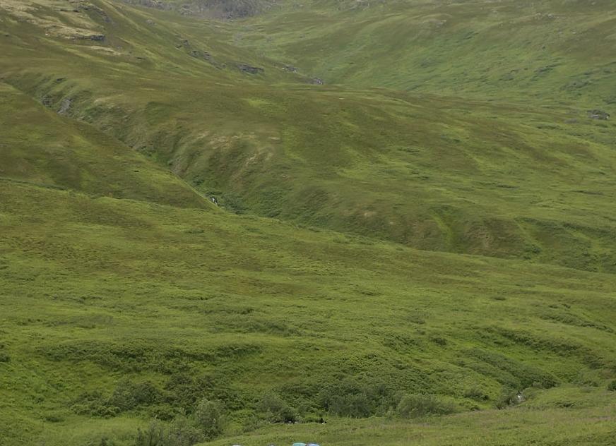 Покупая китайский автомобиль, люди порой забывают о самом главном